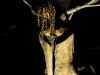 Hellfest 2012