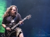 Lamb of god