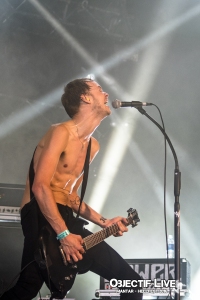 Mantar