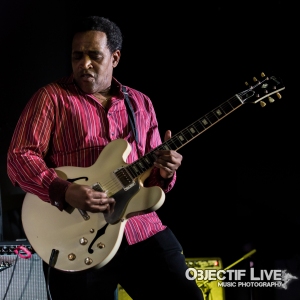Chicago Blues Festival