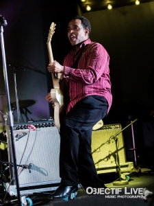 Chicago Blues Festival