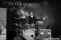 SILVER DUST