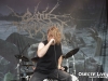 Cattle Decapitation