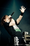 Maximum the hormone