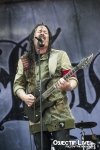 EVERGREY