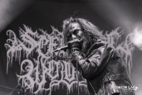 spectral wound - hellfest 2025