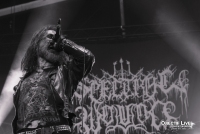 spectral wound - hellfest 2025