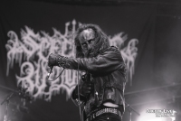 spectral wound - hellfest 2025