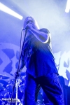dismember,