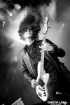 SILVER DUST