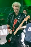 SUM_41